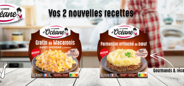 La Cuisine d'Océane nouvelles recettes gratin de macaronis sauce cheddar et parmentier effilochée de boeuf